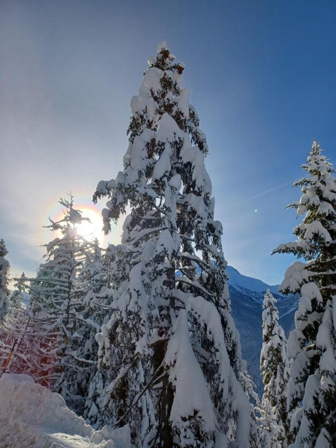 Apartament Chalet Les Clarines La Rosiere  Zewnętrze zdjęcie